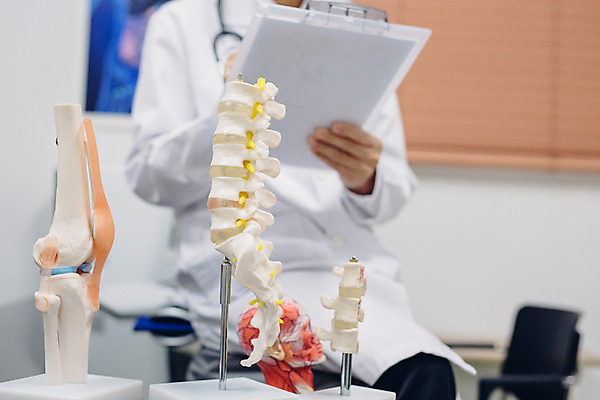 포토 JPG 노년 남자 의학 인체모형 실내 병원 한명 들기 성인 아웃포커스 진료 한국인 의사 60대 걸터앉기 서류판 국내포토 1 모션 촬영기법 사람 앉기 동양인 내부 모형 사무용품 의료진 파일형식