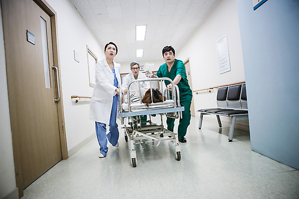 포토 JPG 여자 남자 의학 실내 병원 여러명 성인 30대 한국인 환자 의사 응급 복도 수술 60대 수술복 수술침대 응급환자 환자수송 성인만 다급 국내포토 노년 다수 컨셉 사람 동양인 내부 치료 장년 의료진 침대 긴급 가운 파일형식