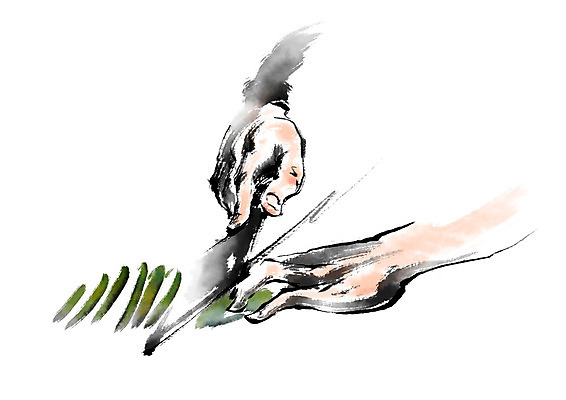 PSD 손 일러스트 캘리그라피 요리 한명 손짓 상반신 신체부위 요리사 재료손질 식칼 칼질 채썰기 국내일러스트 직업 1 모션 주방용품 사람 자르기 손질 파일형식