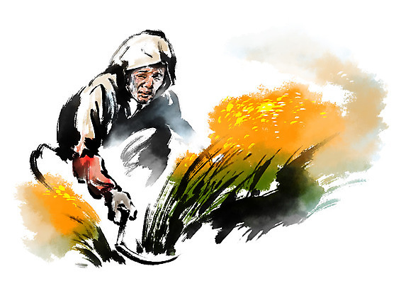 PSD 여자 노년 할머니 일러스트 캘리그라피 한명 사람 앉기 농사 수확 낫 벼베기 국내일러스트 1 농업 모션 성인 파일형식