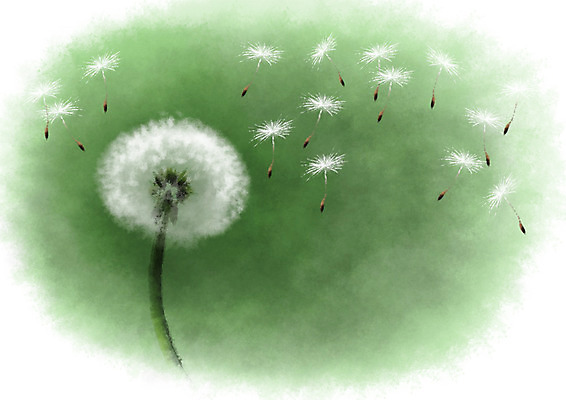 PSD 일러스트 캘리그라피 자연 씨앗 풍경 사람없음 민들레 민들레홀씨 국내일러스트 식물 꽃 생태계 파일형식