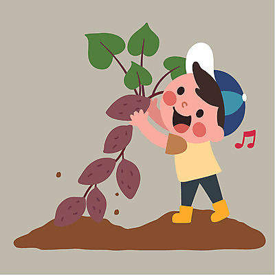 클립아트 남자 어린이 일러스트 한명 흙 체험학습 고구마 국내일러스트 AI파일 1 뿌리채소 사람 체험 파일형식 벡터