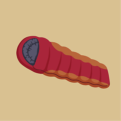 클립아트 아이콘 캠핑도구 사람없음 오브젝트 침낭 2D아이콘 AI파일 캠핑 도구 파일형식 벡터