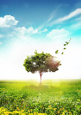 PSD 나무 구름 편집 편집이미지 꽃 자연 하늘 나뭇잎 잔디 사람없음 자연보호 환경 그린캠페인 흩날리기 이미지편집 자연요소 식물 캠페인 잎 모션 보호 생태계 파일형식