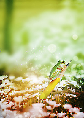 PSD 편집 편집이미지 꽃 자연 사람없음 연필 자연보호 환경 그린캠페인 청개구리 이미지편집 식물 캠페인 학용품 개구리 필기구 보호 생태계 파일형식