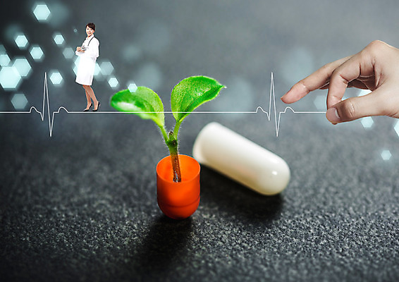 전신 PSD 편집 편집이미지 손 여자 의학 그래프 한명 서기 20대 성인 알약 새싹 자연보호 환경 그린캠페인 한국인 이미지편집 식물 1 캠페인 모션 자연 사람 동양인 청년 신체부위 약 보호 파일형식