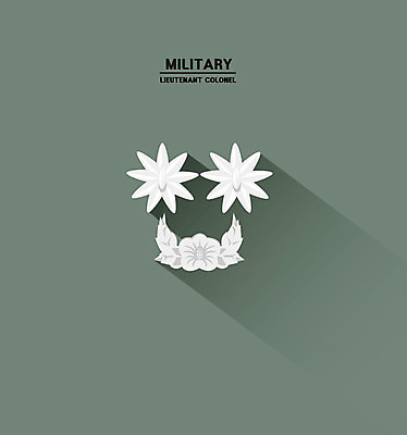 클립아트 일러스트 사람없음 심볼 아이소메트릭 계급 계급장 국방 중령 국내일러스트 AI파일 군인 파일형식 벡터