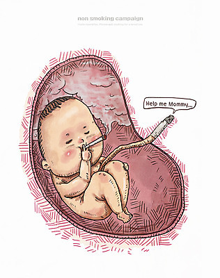PSD 남자 캠페인 일러스트 흡연 담배 한명 성인 금연 태아 탯줄 국내일러스트 1 신체 사람 임신 사회이슈 파일형식
