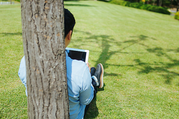 포토 JPG 주간 나무 남자 백그라운드 비즈니스 휴식 한명 잔디 성인 야외 국내포토 자연요소 식물 1 컨셉 사람 파일형식