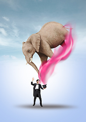 전신 PSD 서양인 구름 편집 편집이미지 남자 야생동물 하늘 코끼리 한명 서기 정장 턱시도 20대 성인 마술 마술사 마술사모자 이미지편집 자연요소 외국인 동물 모자_잡화 1 옷 포유류 모션 사람 청년 파일형식