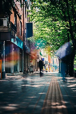 포토 JPG 주간 나무 사람없음 야외 건물 도시풍경 도시 보행로 장노출 국내포토 자연요소 식물 건축물 길 촬영기법 풍경 파일형식