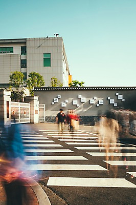 포토 JPG 주간 여러명 야외 도시풍경 도시 보행자 횡단보도 장노출 국내포토 자연요소 다수 촬영기법 사람 풍경 보행로 파일형식