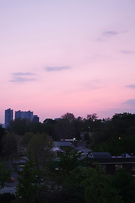 포토 JPG 나무 사람없음 야외 도시풍경 노을 도시 장노출 국내포토 자연요소 식물 촬영기법 풍경 파일형식