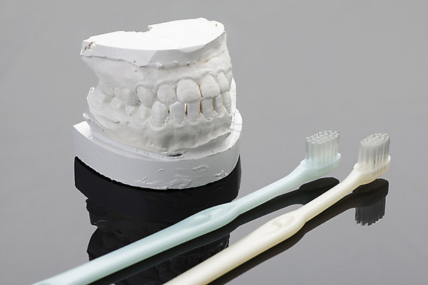 포토 JPG 의학 치과 그림자 사람없음 양치 칫솔 오브젝트 치아모형 석고 석고모형 국내포토 병원 위생용품 모형 청결 치아 파일형식