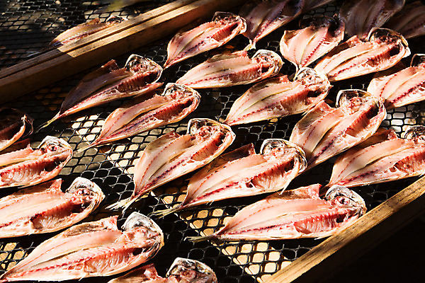 포토 JPG 주간 건조 그림자 어류 사람없음 야외 해산물 일렬 건어물 건조대 국내포토 자연요소 수중동물 파일형식