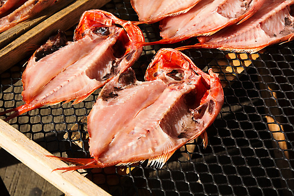 포토 JPG 주간 건조 어류 사람없음 야외 해산물 일렬 건어물 건조대 국내포토 자연요소 수중동물 파일형식