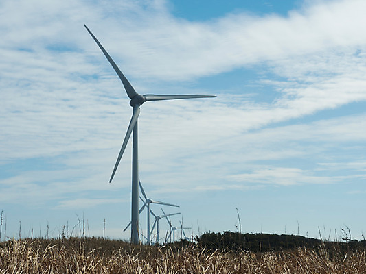 포토 JPG 주간 구름 하늘 풍경 사람없음 야외 풍력에너지 풍력발전소 국내포토 자연요소 발전소 그린에너지 파일형식