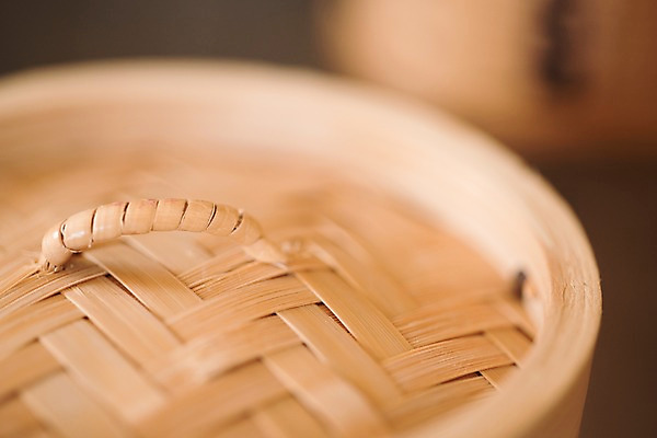 포토 JPG 근접촬영 사람없음 아웃포커스 뚜껑 찜기 대나무찜기 국내포토 뷰포인트 주방용품 촬영기법 파일형식