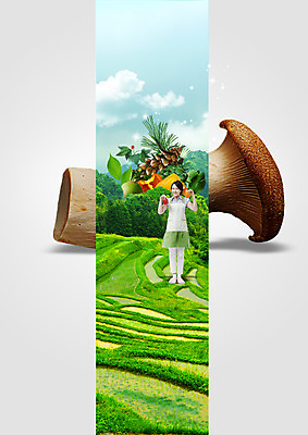 전신 PSD 구름 편집 편집이미지 여자 음식 40대 밭 하늘 피망 한명 서기 앞치마 버섯 한국인 무 유기농 주부 이미지편집 자연요소 1 웰빙 중년 농업 채소 모션 뿌리채소 사람 동양인 파일형식