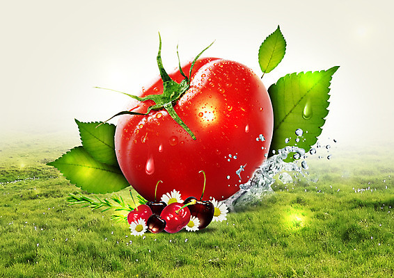 PSD 편집 편집이미지 꽃 음식 토마토 나뭇잎 잔디 사람없음 물방울 신선 체리 이미지편집 식물 잎 채소 과일 파일형식