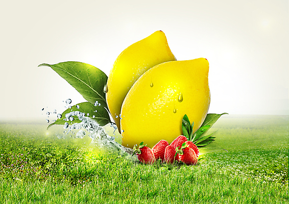 PSD 편집 편집이미지 음식 딸기 나뭇잎 잔디 사람없음 물방울 신선 레몬 트로피컬아트 이미지편집 식물 잎 과일 그림 파일형식