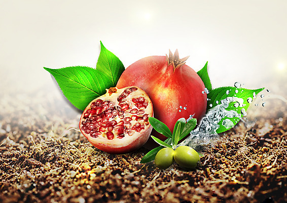 PSD 편집 편집이미지 음식 단면 나뭇잎 사람없음 흙 물방울 신선 올리브 석류 이미지편집 열매 잎 과일 파일형식