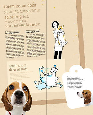 PSD 템플릿 편집 표지디자인 북디자인 출판디자인 여자 내지 리플렛 2단접지 북커버 안기 욕조 한명 팜플렛 성인 반려동물 목욕 강아지 비글 샤워기 반려 애견미용 애견미용사 이미지템플릿 동물 1 모션 사람 뷰티 청결 개 미용사 파일형식