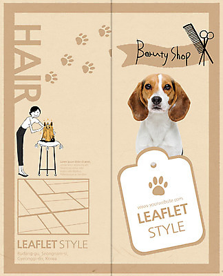 PSD 템플릿 편집 표지디자인 북디자인 출판디자인 여자 표지 리플렛 2단접지 북커버 의자 가위 한명 팜플렛 성인 반려동물 머리빗 강아지 비글 반려 애견미용 애견미용사 이미지템플릿 동물 1 가구 문구용품 사람 뷰티 미용용품 개 미용사 파일형식