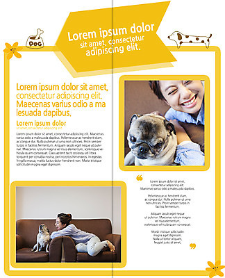 PSD 템플릿 편집 표지디자인 북디자인 출판디자인 여자 내지 리플렛 2단접지 북커버 웃음 앉기 팜플렛 20대 성인 두명 옆모습 반려동물 소파 한국인 강아지 개밥그릇 개뼈다귀 반려 퍼그 이미지템플릿 동물 그릇 뷰포인트 의자 모션 표정 사람 동양인 청년 개 애견용품 애견간식 파일형식