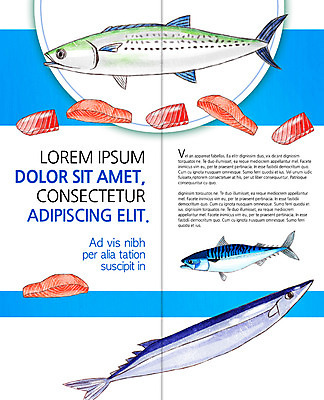 PSD 템플릿 편집 표지디자인 북디자인 출판디자인 내지 음식 리플렛 2단접지 북커버 팜플렛 사람없음 해산물 고등어 꽁치 이미지템플릿 어류 파일형식
