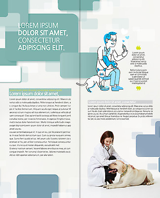 PSD 템플릿 편집 표지디자인 북디자인 출판디자인 여자 남자 내지 리플렛 2단접지 북커버 의학 청진기 앉기 팜플렛 성인 두명 30대 고양이 한국인 의사 개 동물병원 수의사 반려 이미지템플릿 포유류 의료기기 모션 병원 사람 동양인 장년 반려동물 의료진 파일형식