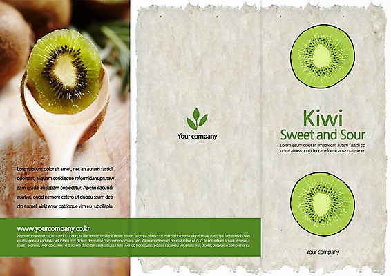 템플릿 편집 표지디자인 북디자인 출판디자인 표지 음식 리플렛 북커버 3단접지 단면 키위 팜플렛 사람없음 숟가락 열대과일 이미지템플릿 AI파일 과일 수저 파일형식 벡터