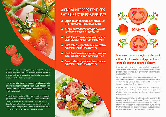 템플릿 편집 접시 표지디자인 북디자인 출판디자인 내지 음식 리플렛 토마토 북커버 3단접지 방울토마토 단면 치즈 팜플렛 사람없음 샐러드 블루베리 이미지템플릿 AI파일 식기 채소 과일 유제품 파일형식 벡터