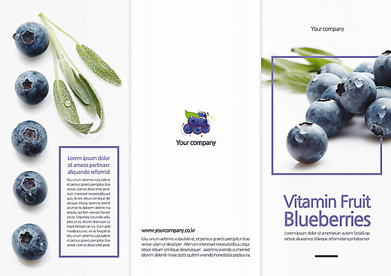 템플릿 편집 표지디자인 북디자인 출판디자인 표지 음식 리플렛 잎 북커버 3단접지 팜플렛 사람없음 허브 블루베리 이미지템플릿 AI파일 식물 과일 파일형식 벡터