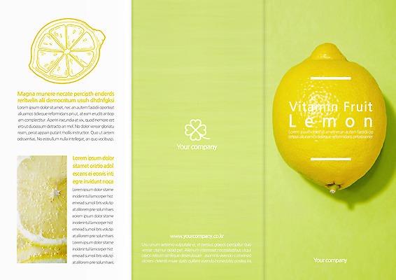 템플릿 편집 표지디자인 북디자인 출판디자인 표지 음료 음식 리플렛 북커버 3단접지 단면 팜플렛 사람없음 네잎클로버 레몬 레모네이드 물기포 트로피컬아트 이미지템플릿 AI파일 식물 과일 클로버 그림 에이드 파일형식 벡터