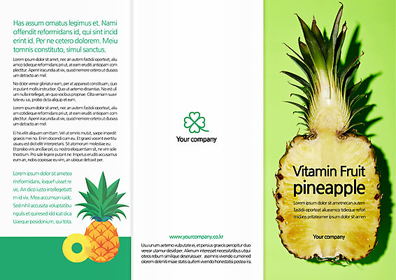 템플릿 편집 표지디자인 북디자인 출판디자인 표지 음식 리플렛 북커버 3단접지 단면 팜플렛 사람없음 네잎클로버 파인애플 열대과일 트로피컬아트 이미지템플릿 AI파일 식물 과일 클로버 그림 파일형식 벡터