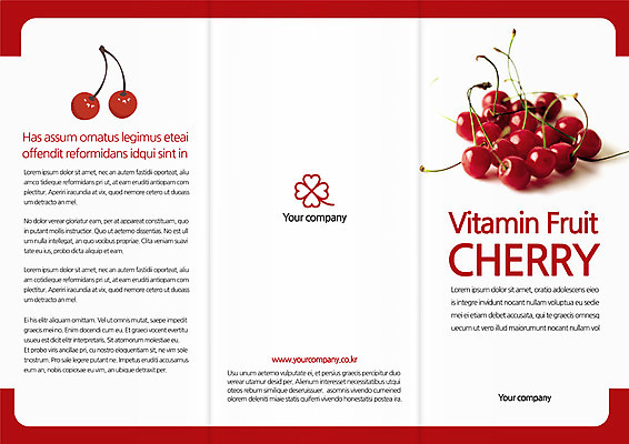 템플릿 편집 표지디자인 북디자인 출판디자인 표지 음식 리플렛 북커버 3단접지 팜플렛 사람없음 체리 네잎클로버 이미지템플릿 AI파일 식물 과일 클로버 파일형식 벡터