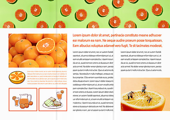 템플릿 편집 접시 표지디자인 북디자인 출판디자인 내지 음식 리플렛 북커버 오렌지 3단접지 단면 유리병 귤 샌드위치 팜플렛 사람없음 컵 피규어 오렌지주스 농부 이미지템플릿 AI파일 직업 식기 과일 병_용기 미니어처 과일주스 파일형식 벡터