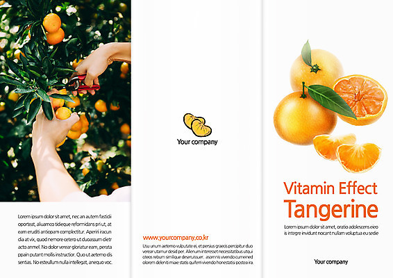 템플릿 편집 표지디자인 북디자인 손 출판디자인 표지 음식 리플렛 북커버 3단접지 단면 귤 가위 팜플렛 신체부위 수확 귤나무 이미지템플릿 AI파일 나무 농업 과일 문구용품 사람 파일형식 벡터