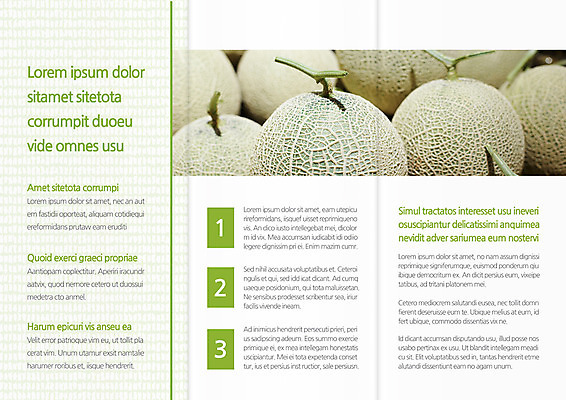 템플릿 편집 표지디자인 북디자인 출판디자인 내지 음식 리플렛 북커버 3단접지 팜플렛 사람없음 멜론 열대과일 이미지템플릿 AI파일 과일 파일형식 벡터