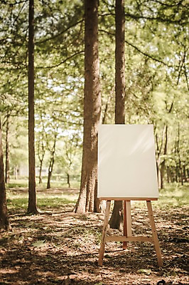 주간 PSD 나무 편집이미지 공원 백그라운드 프레임 사람없음 야외 디지털합성 이젤 캔버스 디지털아트 이미지편집 자연요소 식물 공공시설 미술도구 파일형식