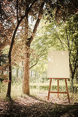 주간 PSD 나무 편집이미지 공원 백그라운드 프레임 사람없음 야외 디지털합성 이젤 캔버스 디지털아트 이미지편집 자연요소 식물 공공시설 미술도구 파일형식