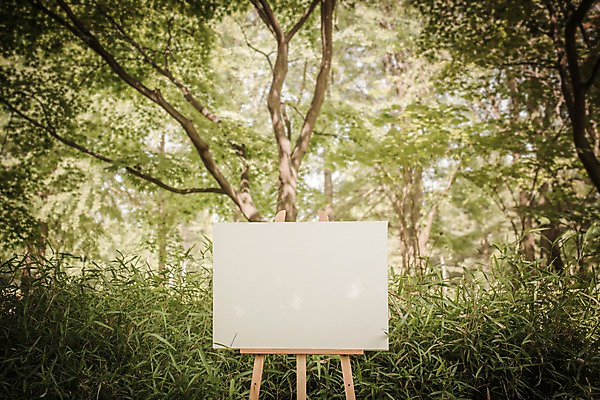 주간 PSD 나무 편집이미지 공원 백그라운드 프레임 사람없음 야외 디지털합성 이젤 캔버스 디지털아트 이미지편집 자연요소 식물 공공시설 미술도구 파일형식