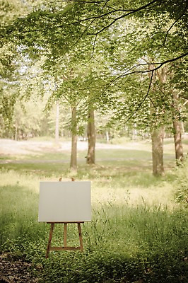 주간 PSD 나무 편집이미지 공원 백그라운드 프레임 사람없음 야외 디지털합성 이젤 캔버스 디지털아트 이미지편집 자연요소 식물 공공시설 미술도구 파일형식