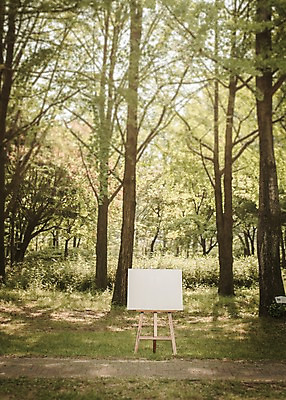 주간 PSD 나무 편집이미지 공원 백그라운드 프레임 사람없음 야외 디지털합성 이젤 캔버스 디지털아트 이미지편집 자연요소 식물 공공시설 미술도구 파일형식