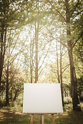 주간 PSD 나무 편집이미지 공원 백그라운드 프레임 사람없음 야외 디지털합성 이젤 캔버스 디지털아트 이미지편집 자연요소 식물 공공시설 미술도구 파일형식