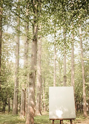 주간 PSD 나무 편집이미지 공원 백그라운드 프레임 사람없음 야외 디지털합성 이젤 캔버스 디지털아트 이미지편집 자연요소 식물 공공시설 미술도구 파일형식