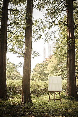 주간 PSD 나무 편집이미지 공원 백그라운드 프레임 사람없음 야외 디지털합성 이젤 캔버스 디지털아트 이미지편집 자연요소 식물 공공시설 미술도구 파일형식