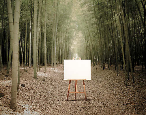 주간 PSD 나무 편집이미지 공원 백그라운드 프레임 사람없음 야외 대나무 디지털합성 이젤 캔버스 대나무숲 디지털아트 이미지편집 자연요소 식물 공공시설 미술도구 숲 파일형식