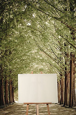 주간 PSD 나무 편집이미지 공원 백그라운드 프레임 사람없음 야외 디지털합성 이젤 캔버스 디지털아트 이미지편집 자연요소 식물 공공시설 미술도구 파일형식